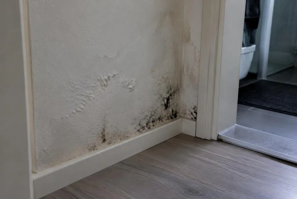 Lekdetectie Urk – vochtplek met schimmel op een muur